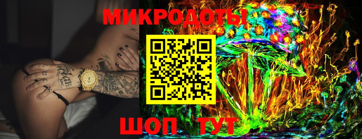 Псилоцибиновые грибы Cubensis Петровск