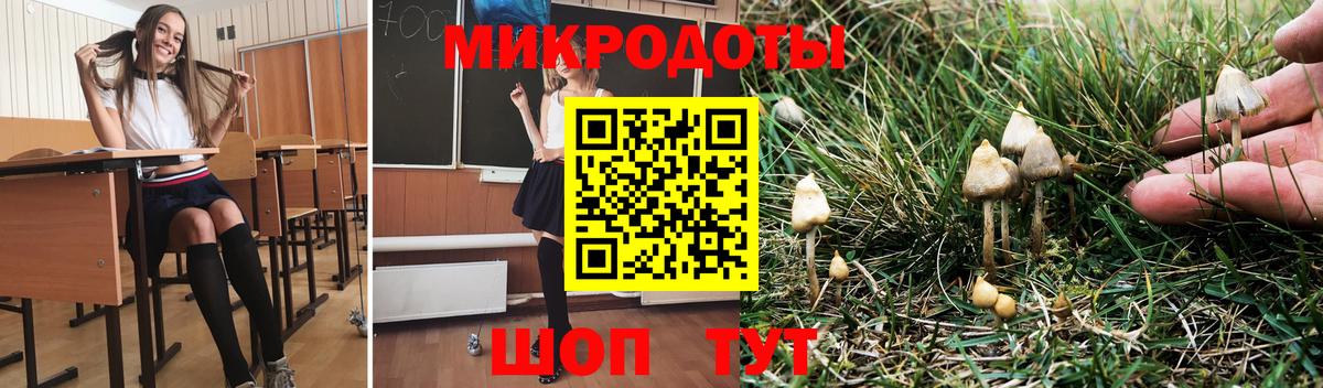 Петровск  Галлюциногенные грибы мухоморы  Псилоцибиновые грибы мицелий  Вход с VPN 